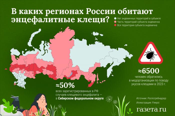 Где в России водятся энцефалитные клещи