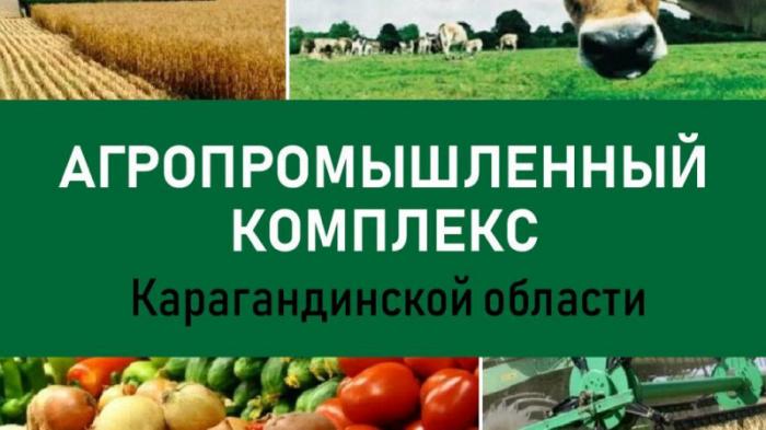 В Карагандинской области запустят линию по очистке семян
                20 апреля 2023, 11:08