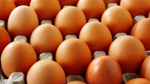 В Карагандинской области выявили превышение надбавки на яйца
