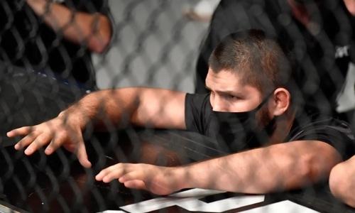 Брат Хабиба узнал соперника и дату следующего боя в UFC