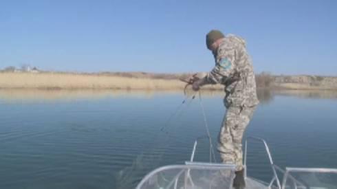 Почти 36 километров рыболовных сетей достали со дна водоёма в Карагандинской области