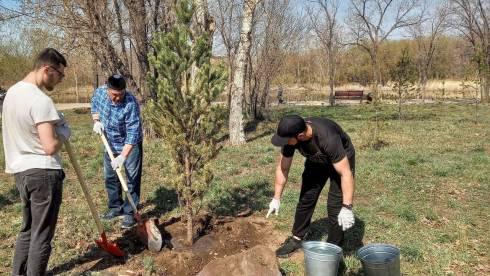 В Карагандинской области начали массовую весеннюю посадку деревьев