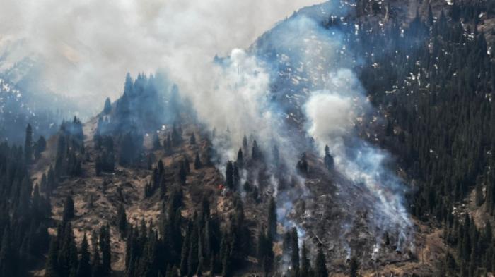 Пожарный погиб при тушении огня на склоне горы в Медеу
                08 мая 2023, 14:42