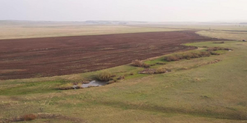 Фермеры четыре года судятся за землю в Карагандинской области
