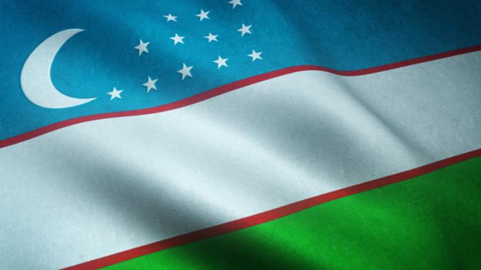 Кто поборется за пост президента Узбекистана
                30 мая 2023, 11:29