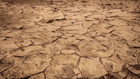 Засуху прогнозируют в Шетском районе Карагандинской области