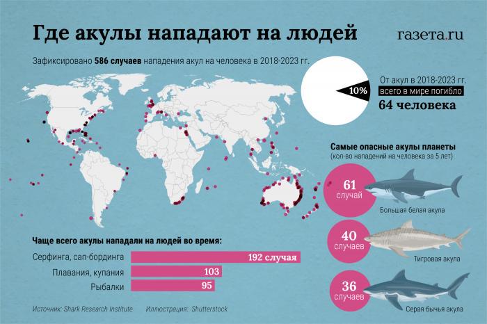 Где акулы нападают на людей