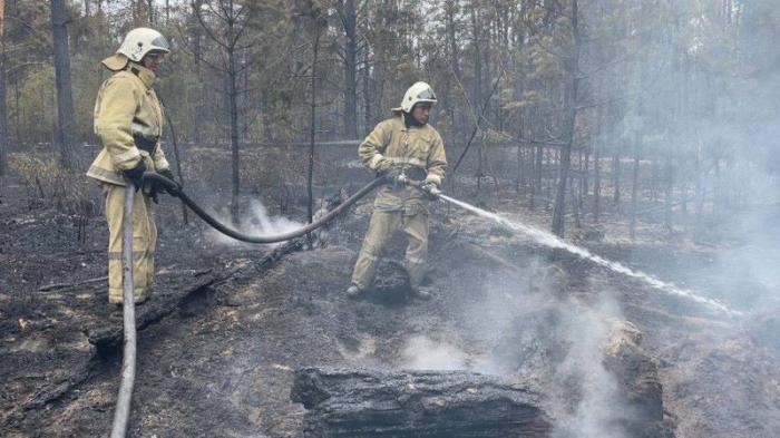 Возбуждено уголовное дело по факту лесного пожара в области Абай
                Вчера, 21:25