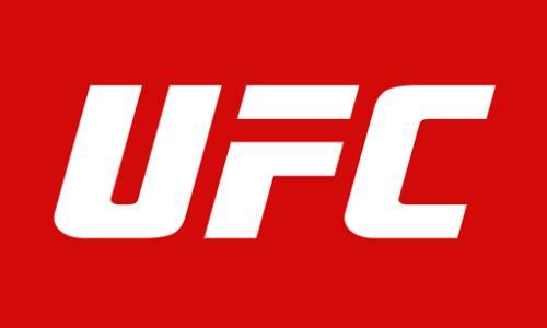 Оценены шансы «пахаря» из Казахстана попасть в UFC