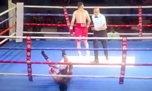 Нокаутом после нокдауна завершился бой за титул WBC. Видео