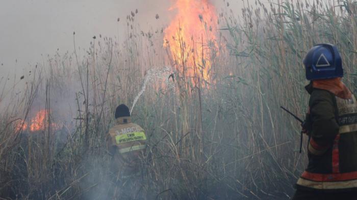 Пожарные Астаны тушат горение сухостоя с вертолетов
                19 июня 2023, 21:05