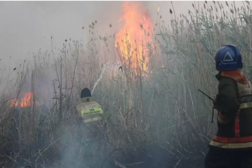 На тушение пожара под Астаной направлены силы ДЧС Акмолинской и Карагандинской областей