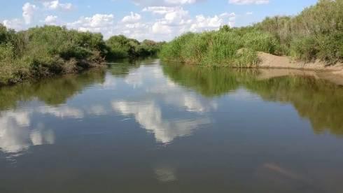 Тело утонувшей женщины нашли спасатели на реке Нура Карагандинской области. Продолжаются поиски 36-летнего мужчины