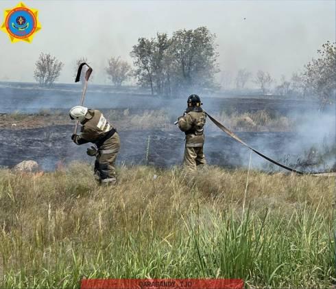 В Карагандинской области за сутки ликвидировано 5 степных горений