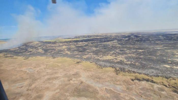 Пожар на Балхаше охватил более 150 гектаров. Горит камыш
                Вчера, 12:23