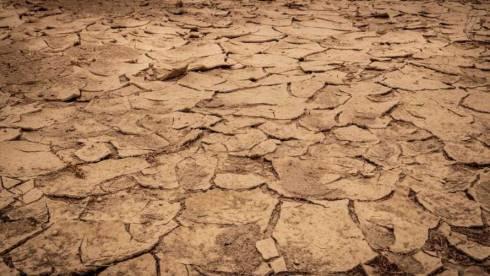 Прогнозу по засухи в Казахстане на июль 2023 года