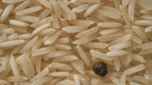 Стоит ли казахстанцам ожидать роста цен на рис