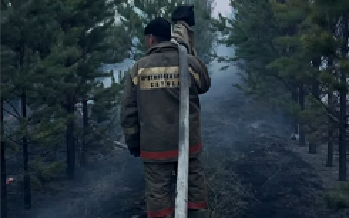 Карагандинские пожарные принимали участие в ликвидации лесного пожара в Павлодарской области