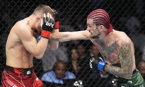 Чемпион UFC высказался о бое Петра Яна с топовым файтером
