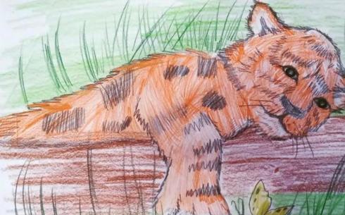 В зоопарке Караганды подвели итоги конкурса рисунков к Международному дню тигра