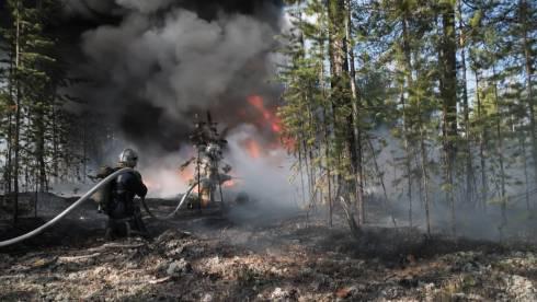За пожароопасный сезон в лесах Карагандинской области произошли 42 возгорания