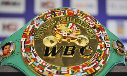 Двое боксеров из Казахстана претендуют на титул чемпиона мира