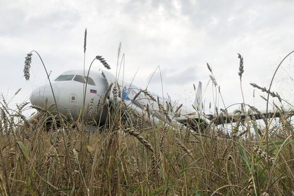 Mash: ошибку пилотов считают причиной экстренной посадки самолета Сочи – Омск в поле