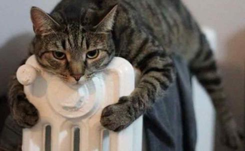 Дадут ли тепло в дома, которые не готовились к отопительному сезону в Караганде?