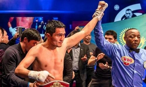 Непобежденный казахстанский боксер узнал хорошие новости о бое за титул чемпиона мира WBC