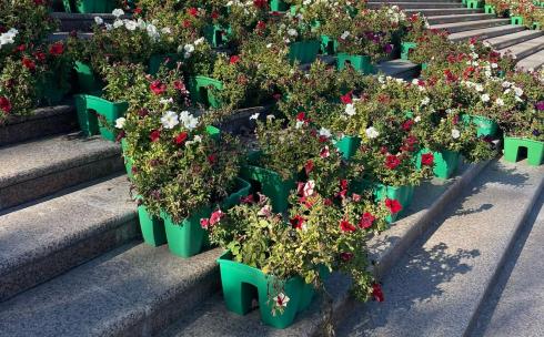 Начать уборку вазонов с цветами попросил депутат Карагандинского маслихата