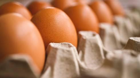 Рост цен на яйца в Казахстане: АЗРК и правительство выявили нарушения
