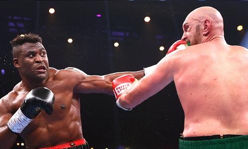 WBC принял неожиданное решение по итогам боя Тайсон Фьюри — Фрэнсис Нганну