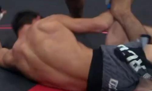 Видео нокаута казахстанского бойца в соглавном событии турнира по MMA