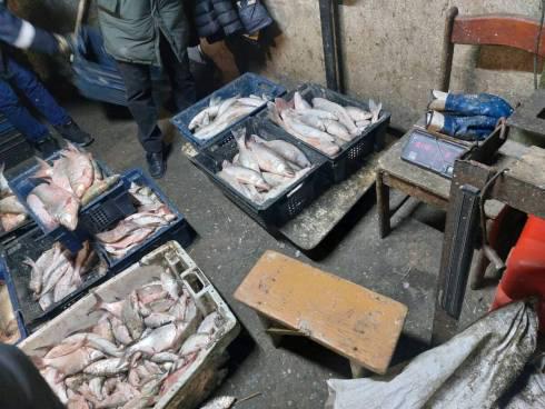 63 кг рыбы изъяли у браконьера, задержанного на берегу Балхаша