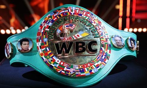 Лучший казахстанский боксер стал главным претендентом на бой за титул чемпиона мира