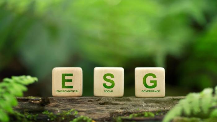 Внедрение принципов ESG на финансовом рынке
                16 ноября 2023, 12:05