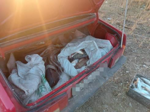 Браконьера с 71 кг рыбы задержали в Карагандинской области