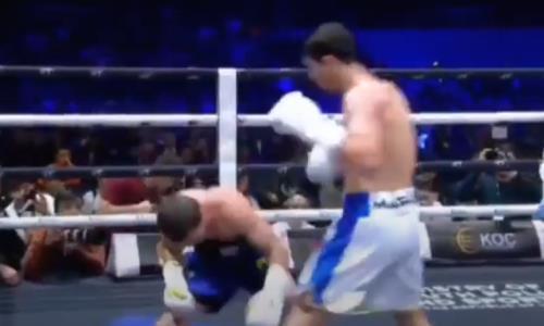 Брутальным нокаутом закончился дебютный бой чемпиона мира по боксу из Узбекистана в профи. Видео