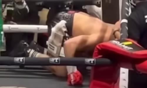 Видео полного боя с нокаутом от Баходира Джалолова в главном событии вечера бокса