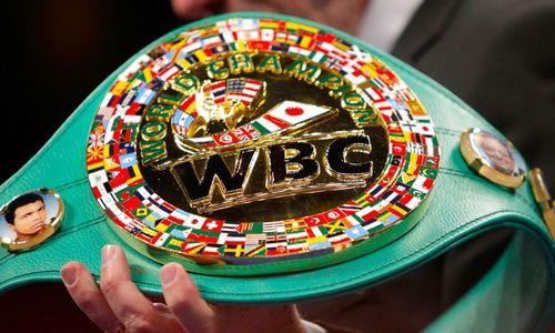 Казахстанскому боксеру «отдали» бой за титул чемпиона мира