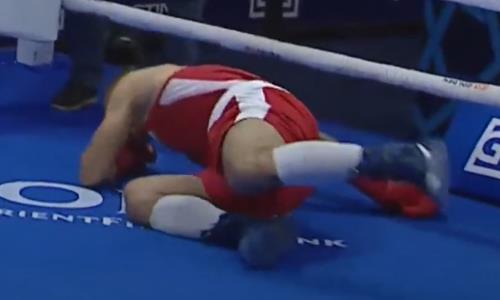 Казахский чемпион мира по боксу встал с нокдауна и разгромил соперника в Узбекистане. Видео
