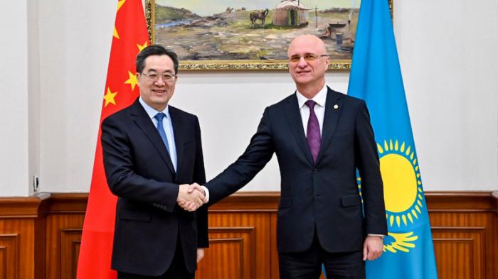 Заседание казахстанско-китайского комитета по сотрудничеству прошло в Астане
                28 ноября 2023, 15:02