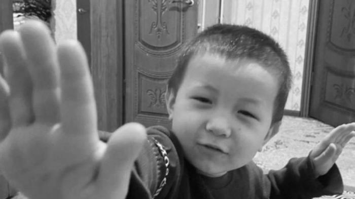 Пропавшего мальчика нашли мертвым в Туркестанской области
                Вчера, 15:58