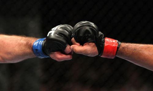 Кадыров и Зеленский подерутся по правилам MMA в Москве