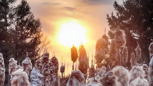Где в Казахстане будет хорошая погода 6 декабря, рассказали синоптики