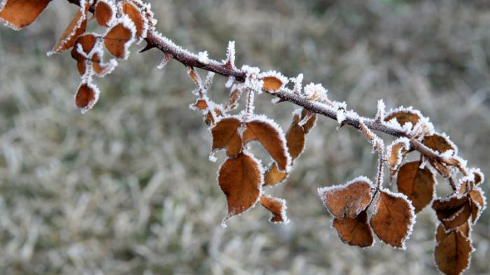 40-градусные морозы придут в Павлодарскую область
                06 декабря 2023, 00:50