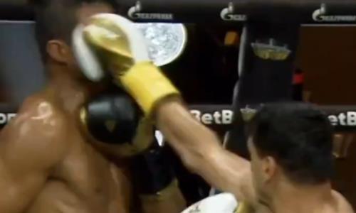 Титулованный узбекистанский боксер победил чемпиона мира. Видео