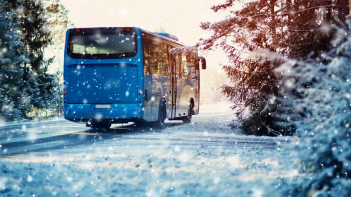График движения автобусов изменили в Костанае из-за холодов
                11 декабря 2023, 21:35
