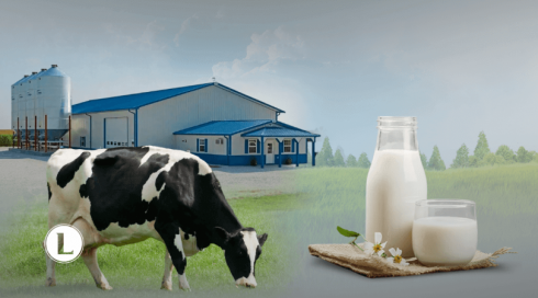 115 молочных ферм и 15 птицефабрик построят в Казахстане