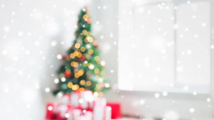 Сотрудник детского дома забрал домой подаренную спонсором новогоднюю елку в Костанае
                28 декабря 2023, 23:30
